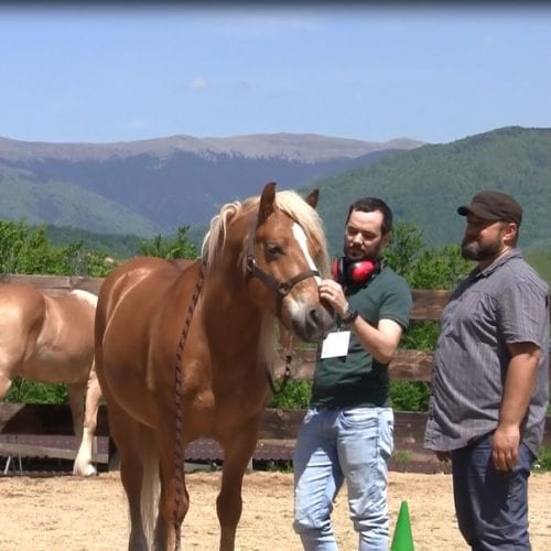 The blind, the deaf and the mute