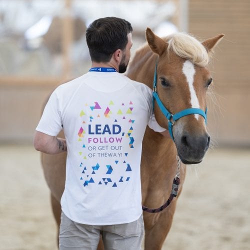 Randamentul Experienței