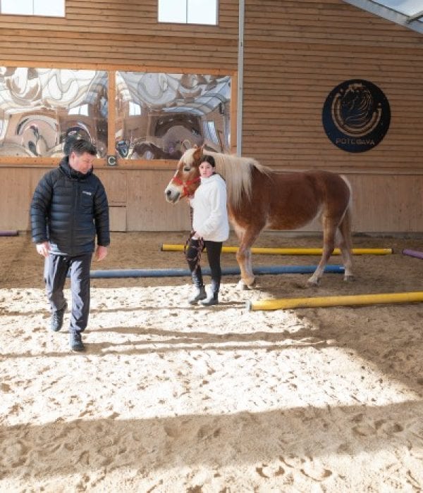 HorseTouch ParinteAdolescent (200)