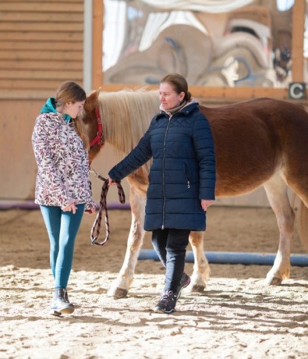 HorseTouch ParinteAdolescent (228)