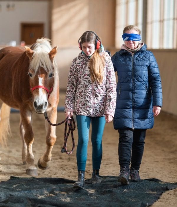HorseTouch ParinteAdolescent (399)