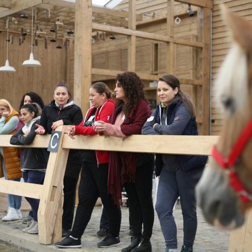 Gentle trainers – 2021