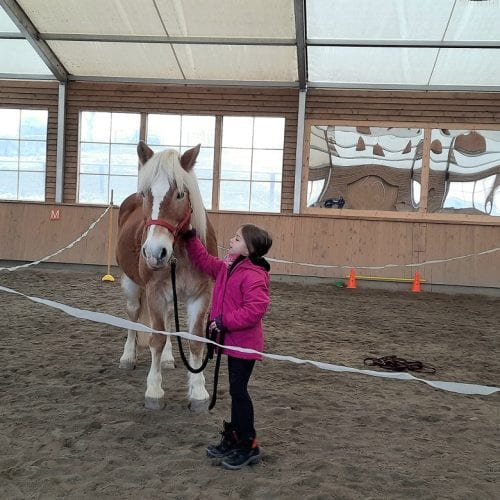 Scrisoare către căluți