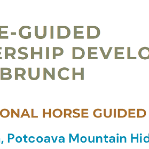 Horse-Guided Leadership Brunch on June 17th 2023